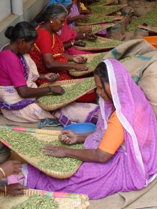 Cardamom Women by Sarah and Iain on flickr